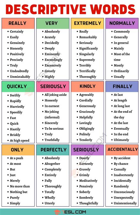 description synonyms|other words for described.